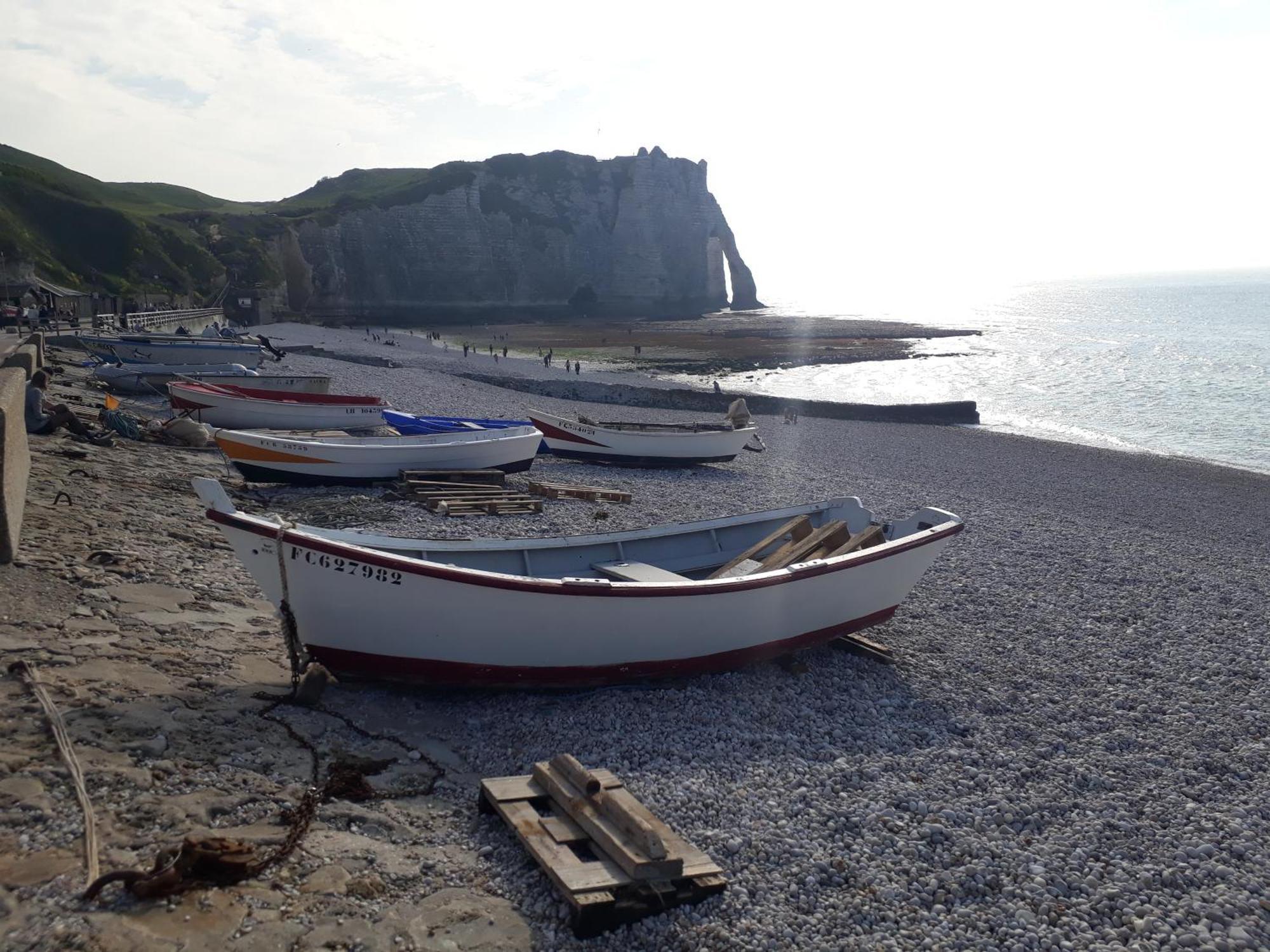 "L'Aiguille Creuse" - Tres Lumineux A 50M De La Mer - 40M2 - 6Max Étretat Dış mekan fotoğraf